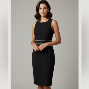 Express Stretch Dress